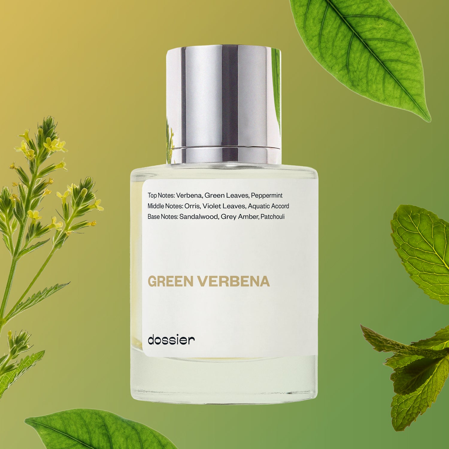 Creed's Green Irish Tweed Dupe Perfume: Green Verbena - Dossier Perfumes - Image 2