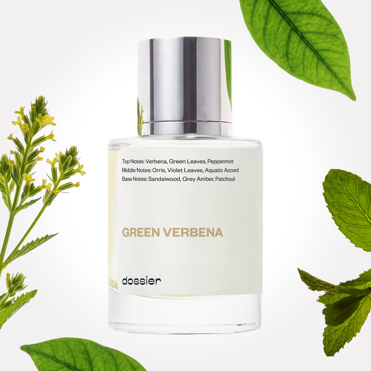 Creed's Green Irish Tweed Dupe Perfume: Green Verbena - Dossier Perfumes